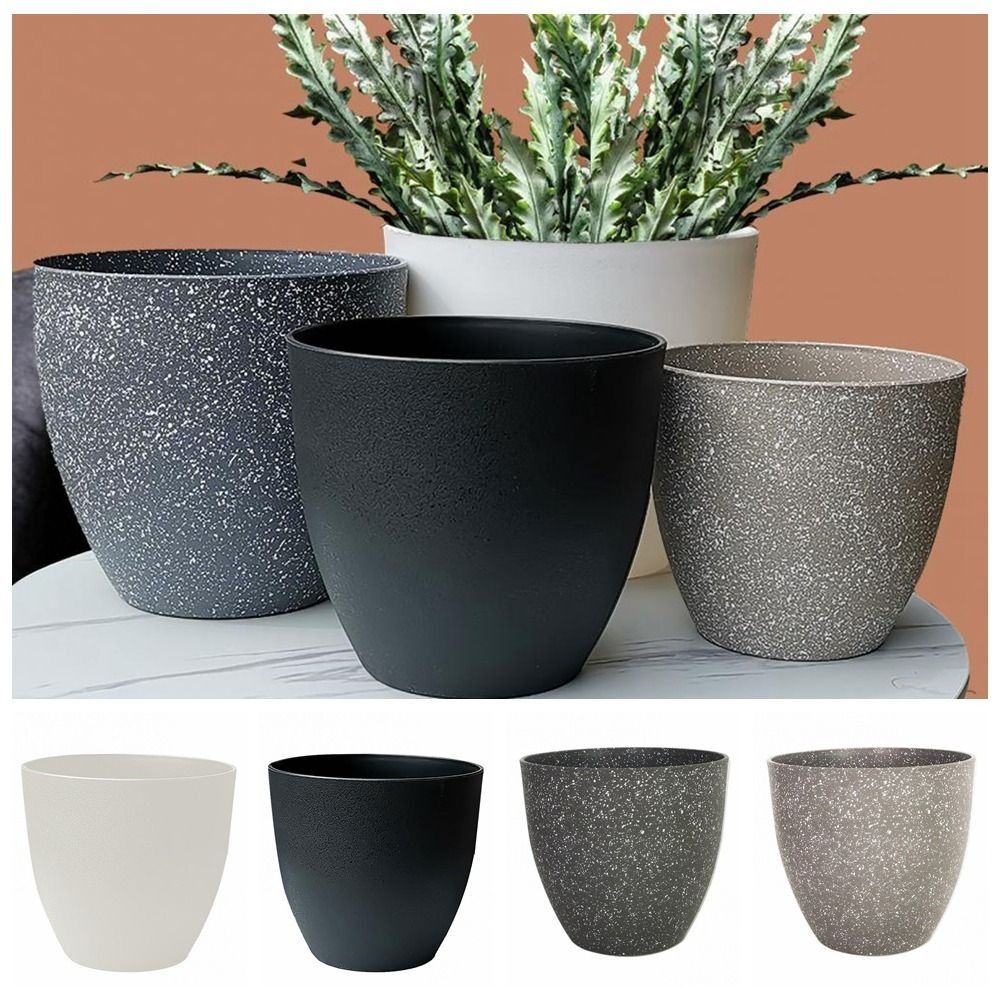 Frosted pot bunga batu imitasi - Aloe Vera Pot ulasan dan harga