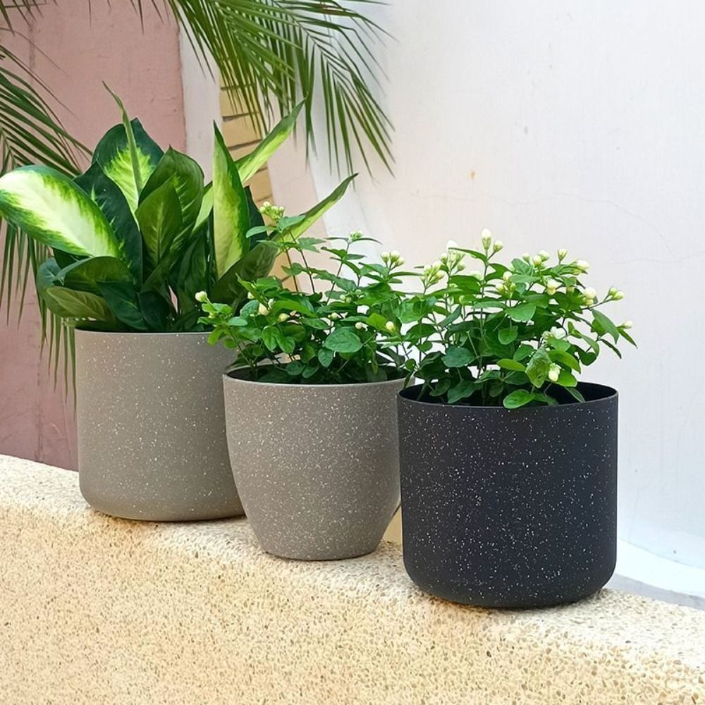 Frosted pot bunga batu imitasi - Aloe Vera Pot ulasan dan harga