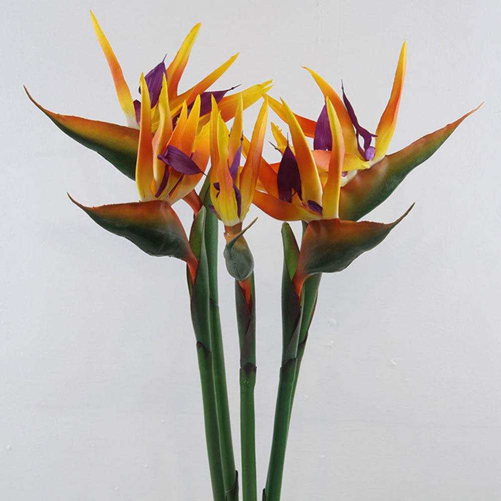 1 buah 80cm bunga burung surga - Bird Paradise Strelitzia ulasan dan harga