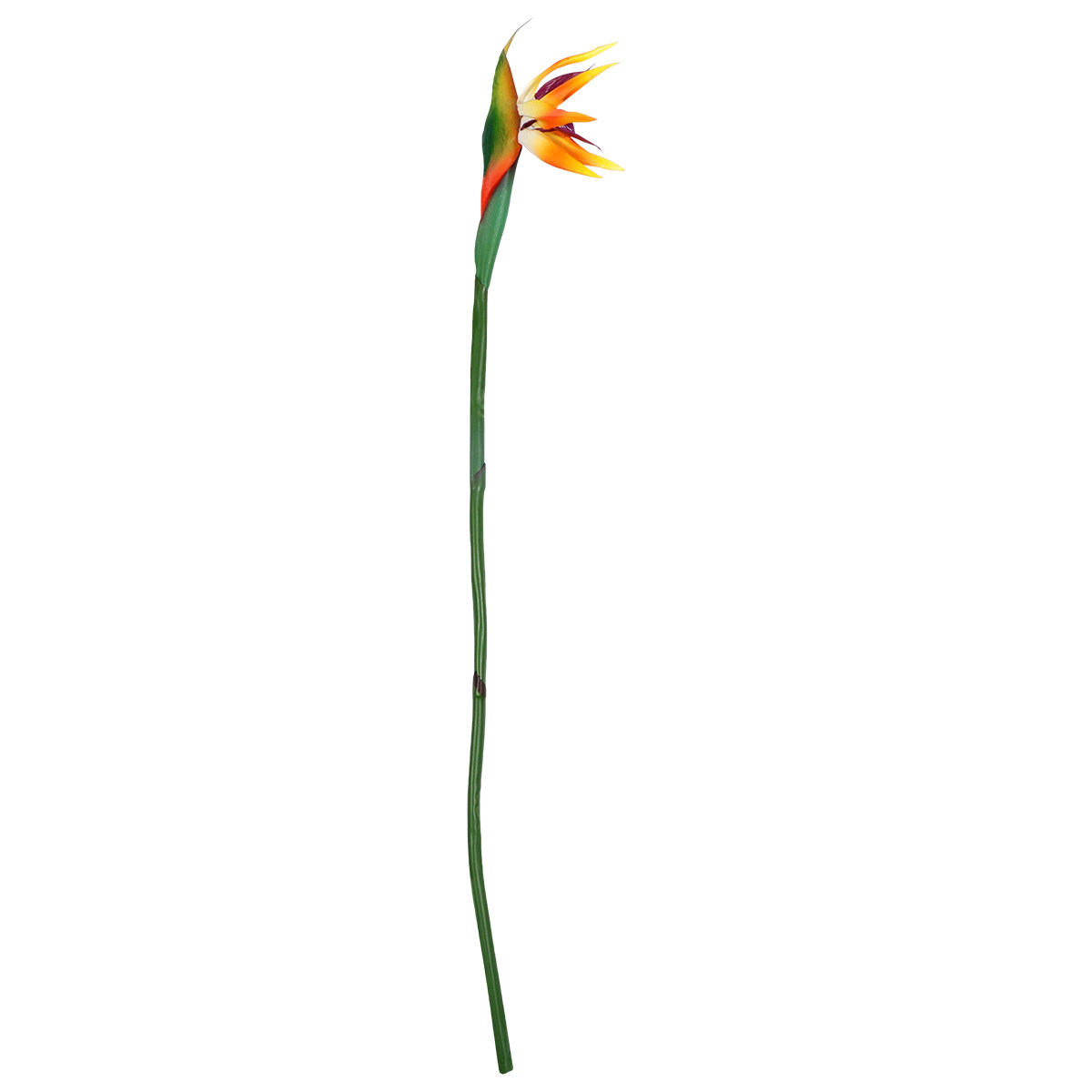 Bunga Strelitzia Buatan Real T - Bird Paradise Strelitzia ulasan dan harga