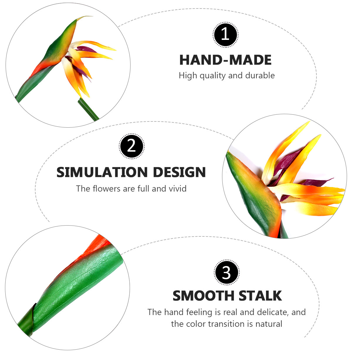 Tanaman Burung Cinta Buatan, B - Bird Paradise Strelitzia ulasan dan harga