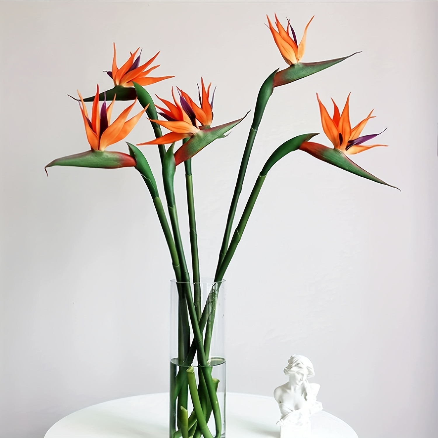 3 buah bunga burung surga buat - Bird Paradise Strelitzia ulasan dan harga