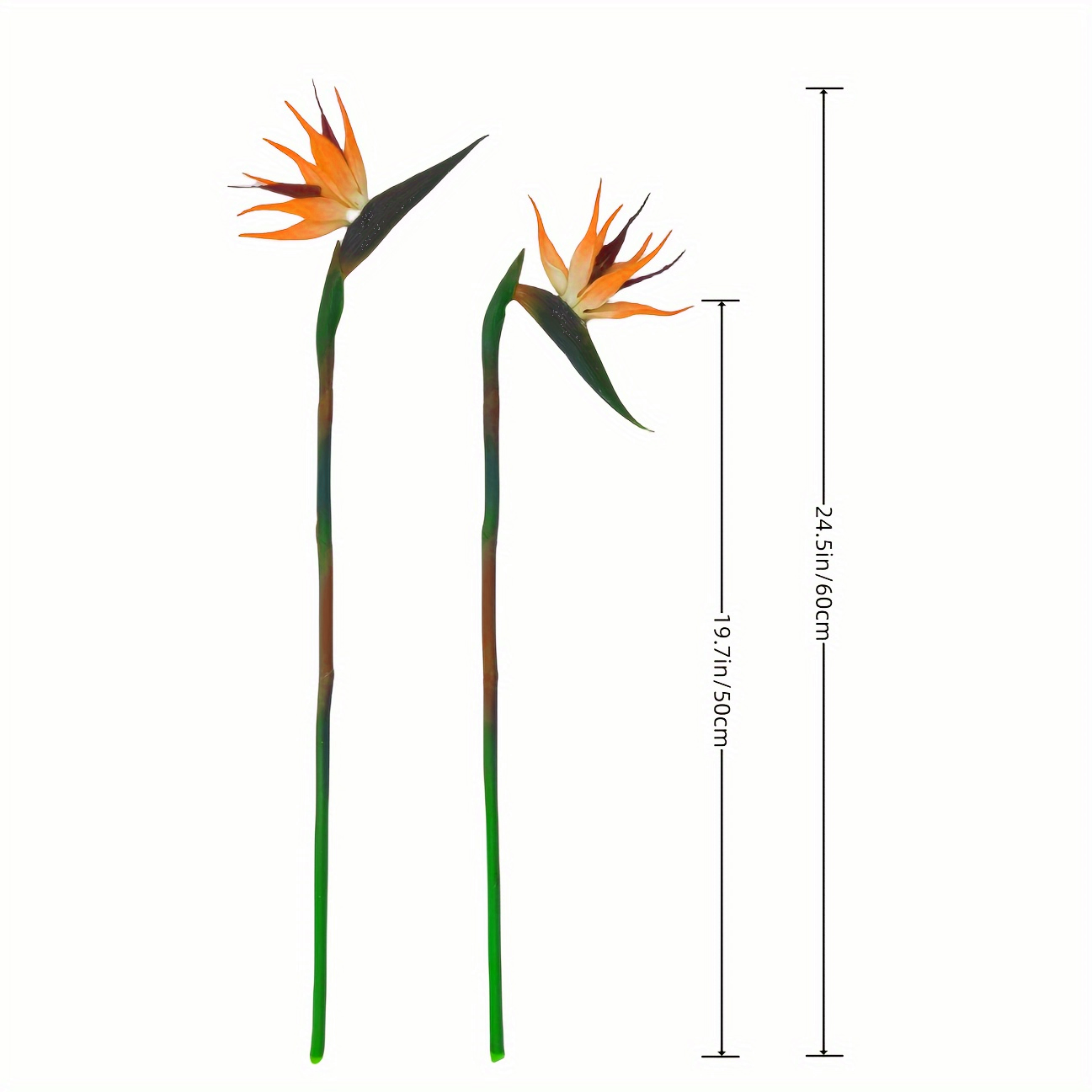 3 buah bunga burung surga buat - Bird Paradise Strelitzia ulasan dan harga