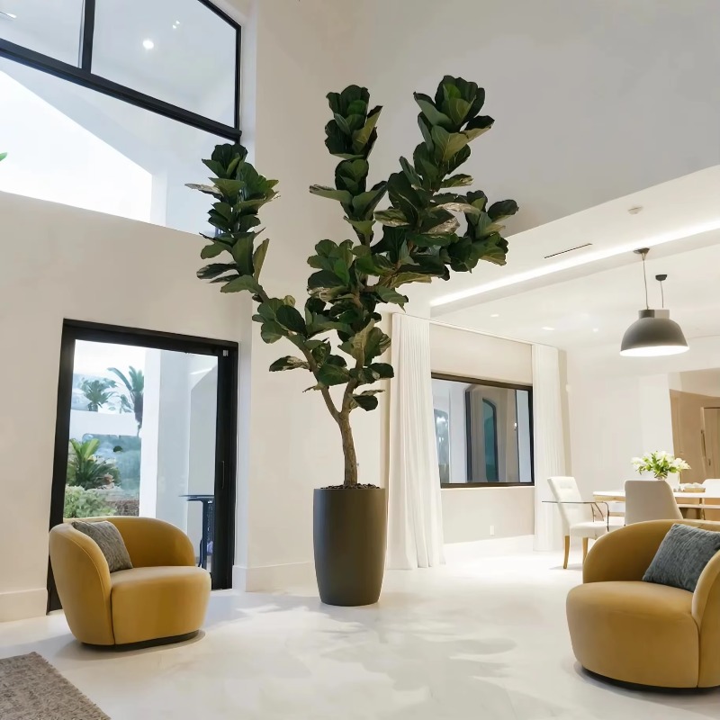 Tanaman Buatan Tanaman Pot Dal - Ficus Lyrata Tree ulasan dan harga