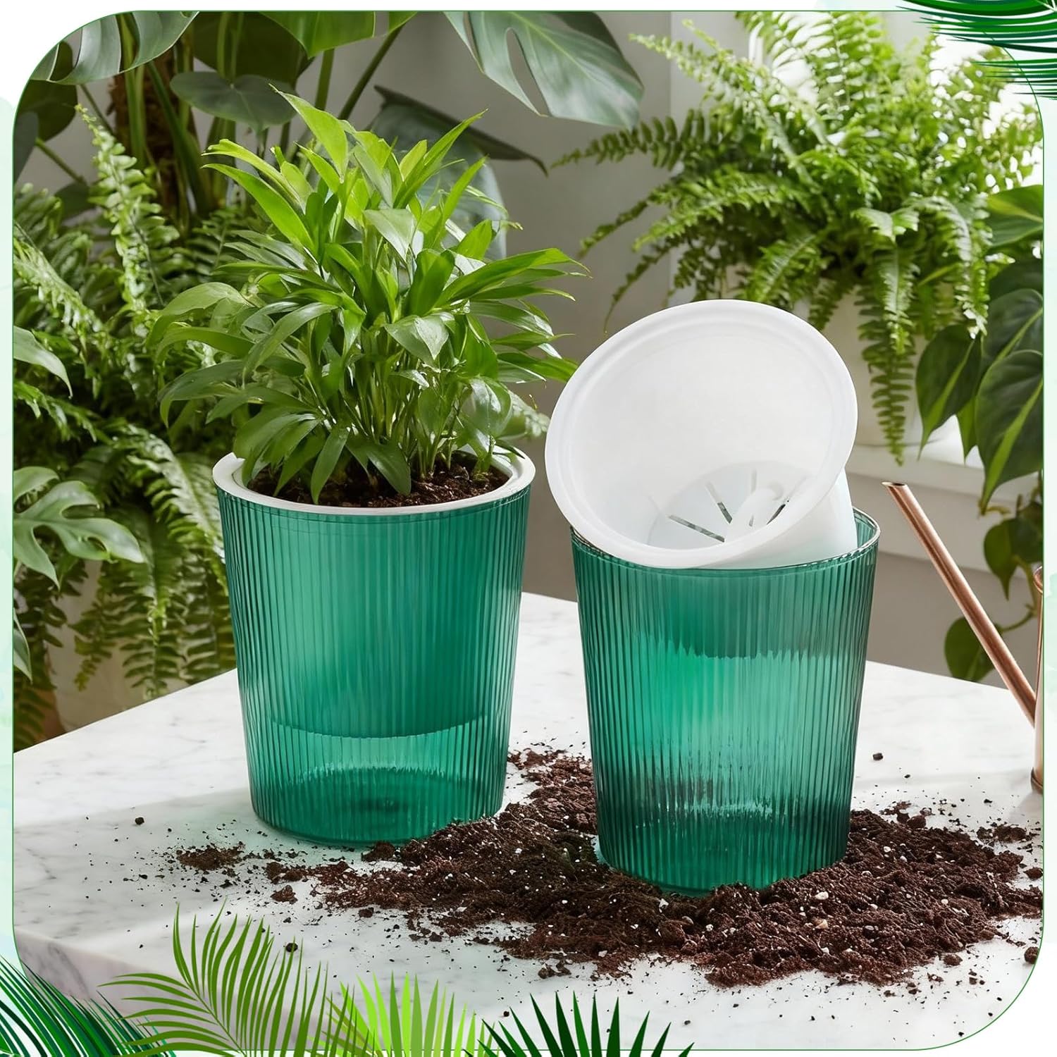Pot Tanaman Self-Watering Tran - Aloe Vera Pot ulasan dan harga
