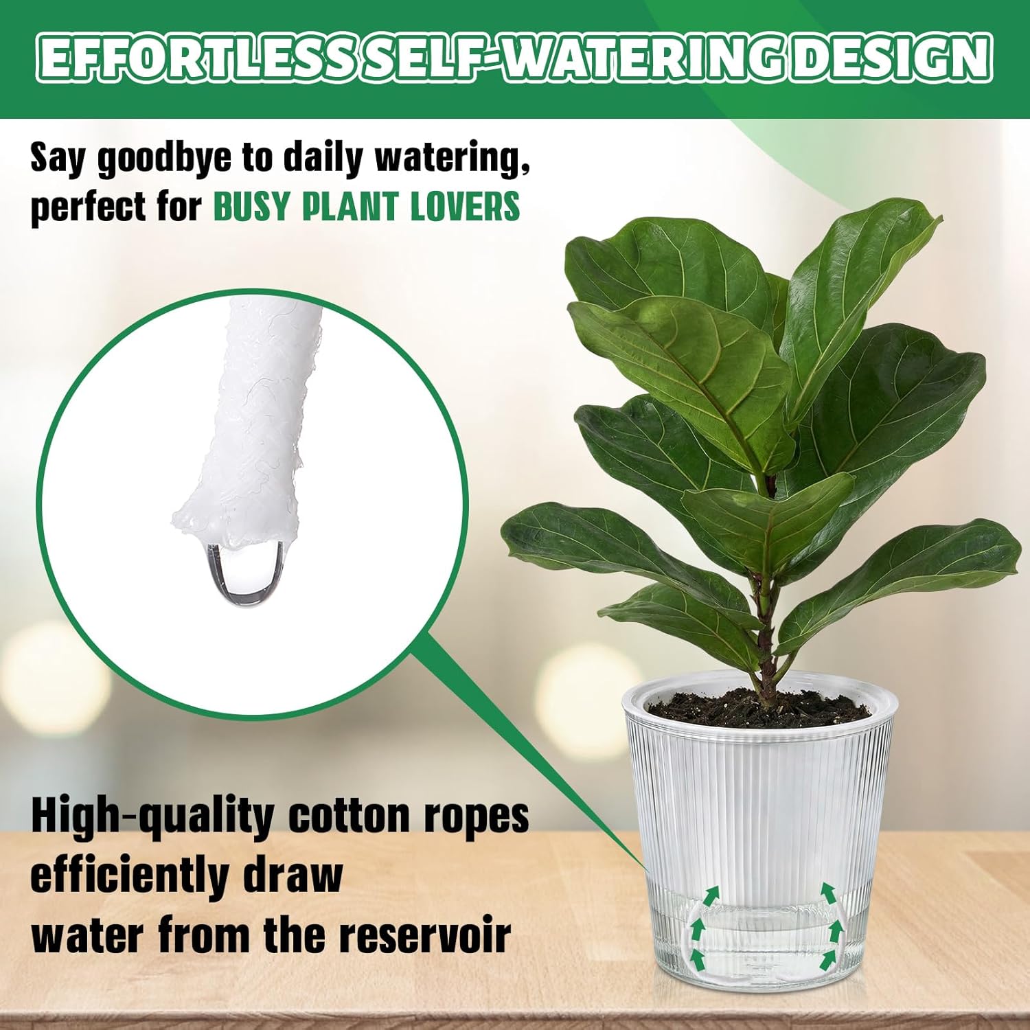 Pot Tanaman Self-Watering Tran - Aloe Vera Pot ulasan dan harga